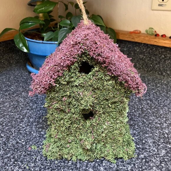 Decorative Moss Birdhouse - Handmade - Green and Purple Reindeer Moss on Wood